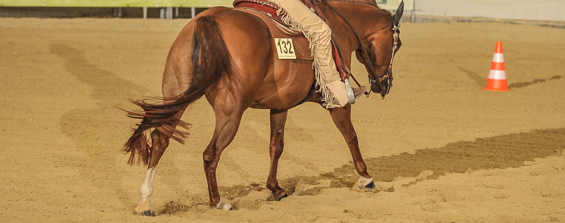 EWU Western Riding Symposium - WESTERNREITER ONLINE